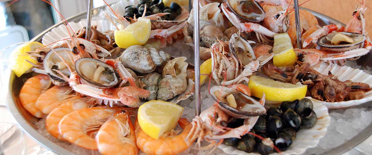 Terasse restaurant - Le New Haven - Restaurant Dieppe : Fruits de mer, poissons et cuisine traditionnelle.